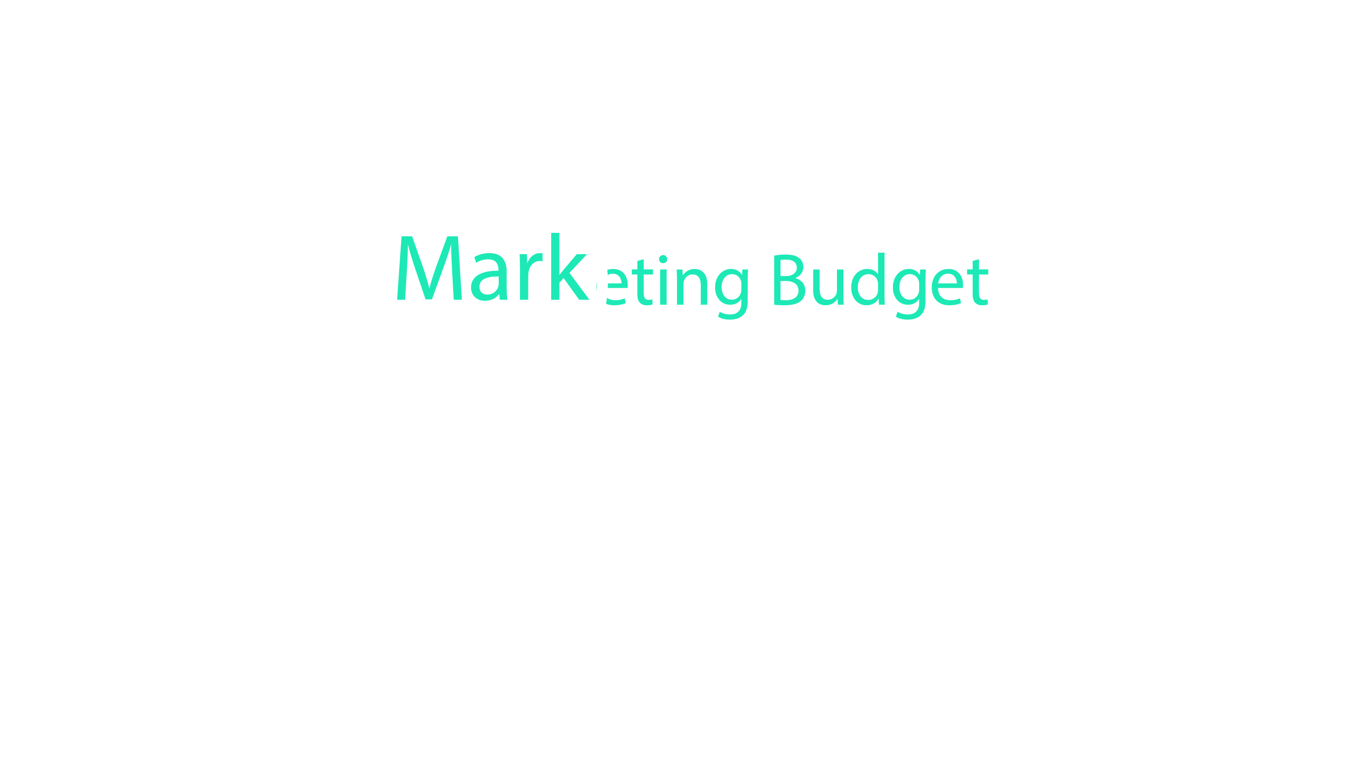 Marketing budget under scrutiny